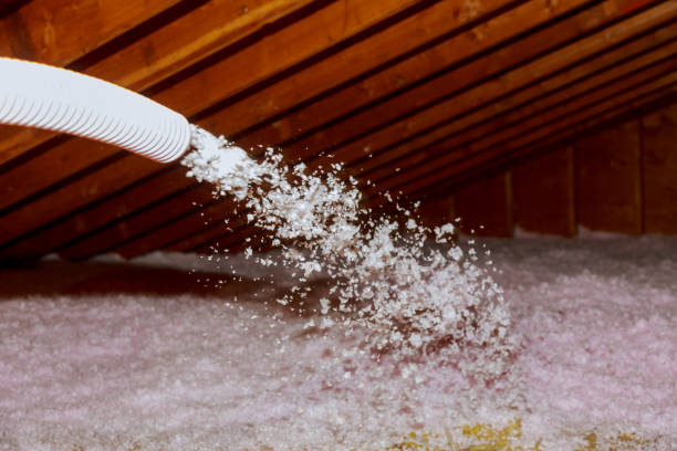 Best Local Insulation Services  in Conneaut, OH