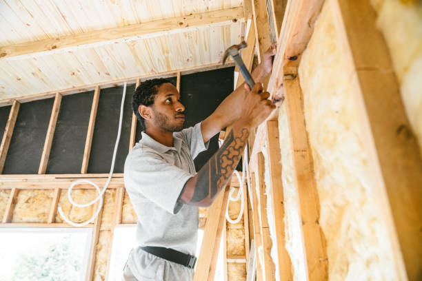 Best Crawl Space Insulation  in Conneaut, OH